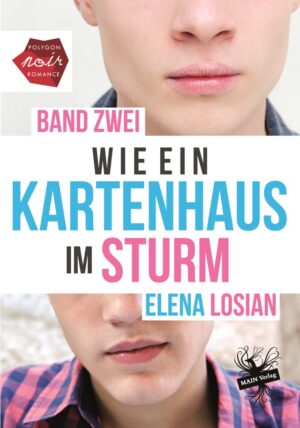 Wie ein Kartenhaus im Sturm - Band 2