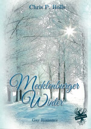 Mecklenburger Winter