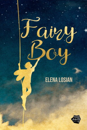 Cover von Fairy Boy von Elena Losian