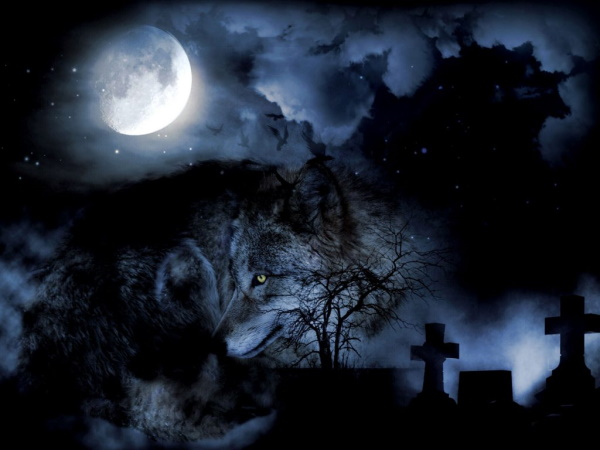 Bild zu Büchern über Gestaltwandler