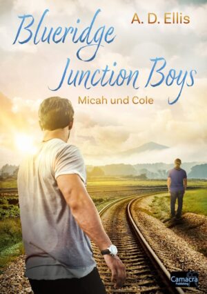 Blueridge Junction Boys - Micah und Cole