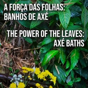 A Força das Folhas: Banhos de Axé /The Power of the Leaves: Axé Baths