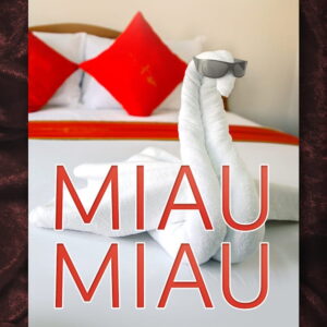 Miau, Miau: Amüsantes aus dem Gastro- & Hotelgenre