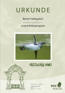 Bild von Patenschaftsurkunde Pinguin zum Gedenken an Bernd Frielingsdorf